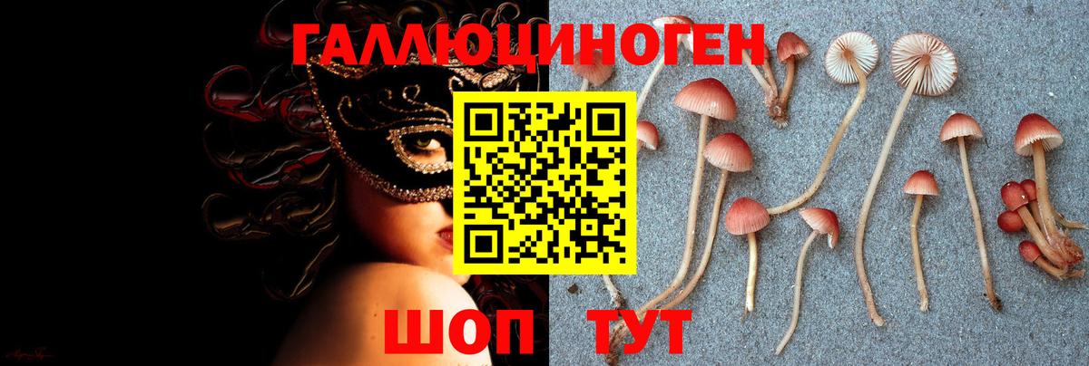 Галлюциногенные грибы Cubensis  Псилоцибиновые грибы Psilocybine cubensis  Железногорск  Вход с VPN 